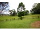 521 Round Mountain Rd, Round Mountain NSW 2484