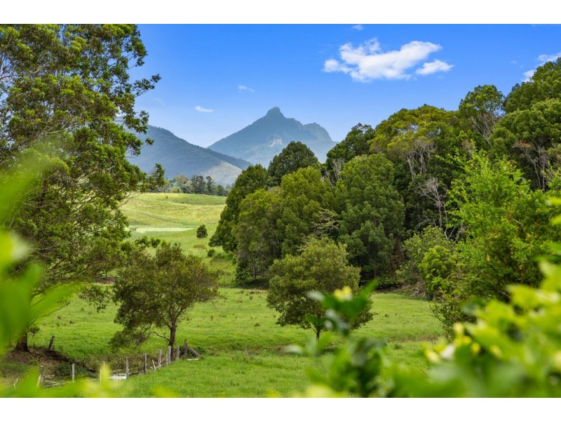 78 Reserve Creek Road, Kielvale NSW 2484