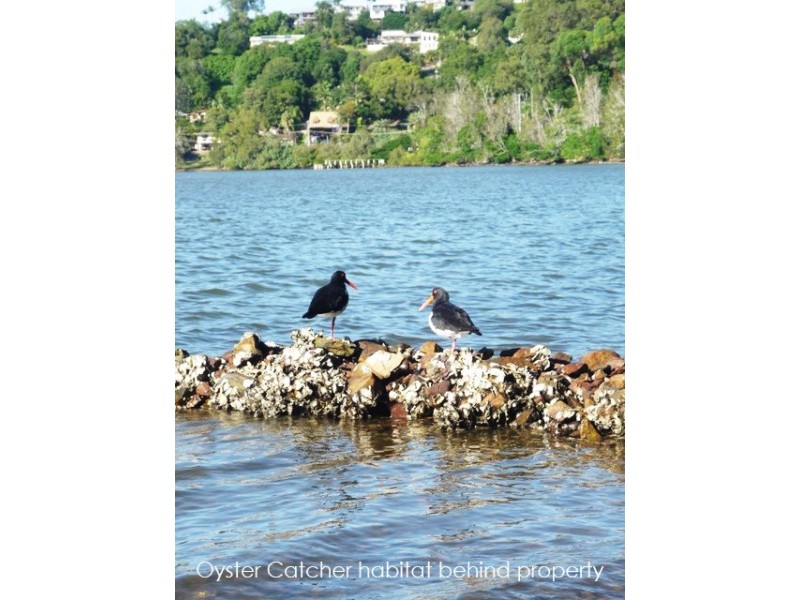 129 Peninsula Drive, Bilambil Heights NSW 2486