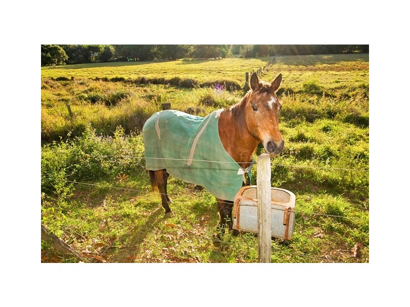 138  Cobaki Road, Cobaki NSW 2486