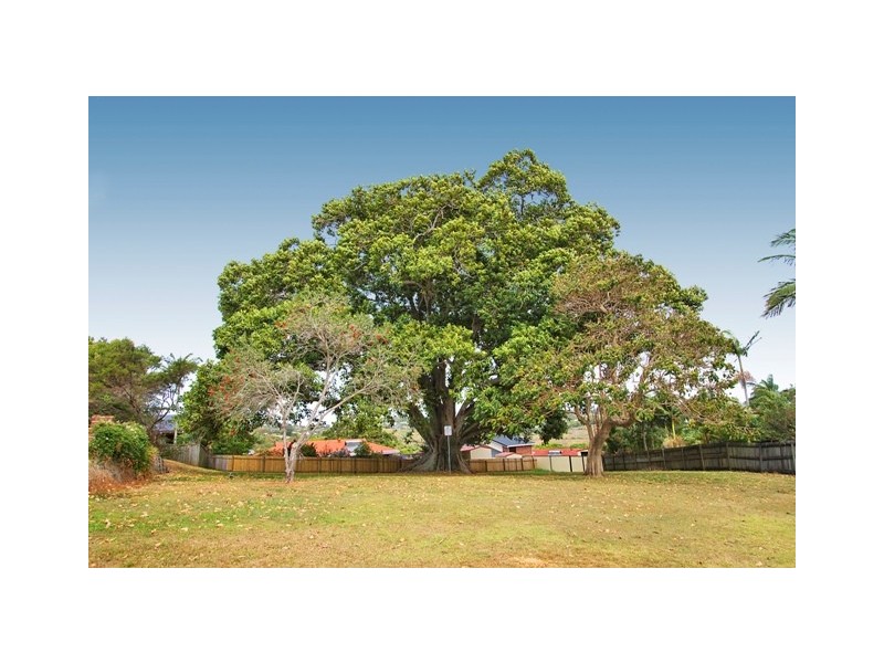 12 Coolabah Crt, Banora Point NSW 2486