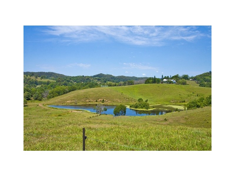 1836 Reserve Creek Rd, Cudgera Creek NSW 2484
