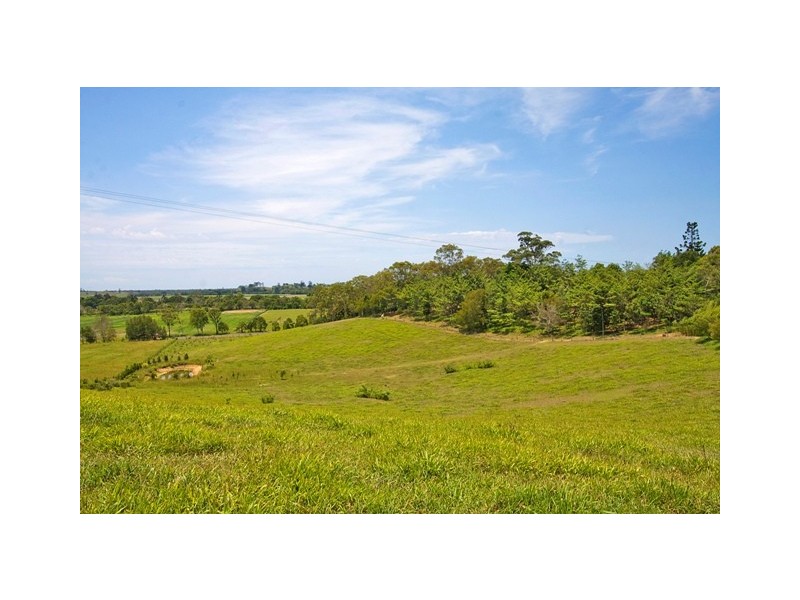 1836 Reserve Creek Rd, Cudgera Creek NSW 2484