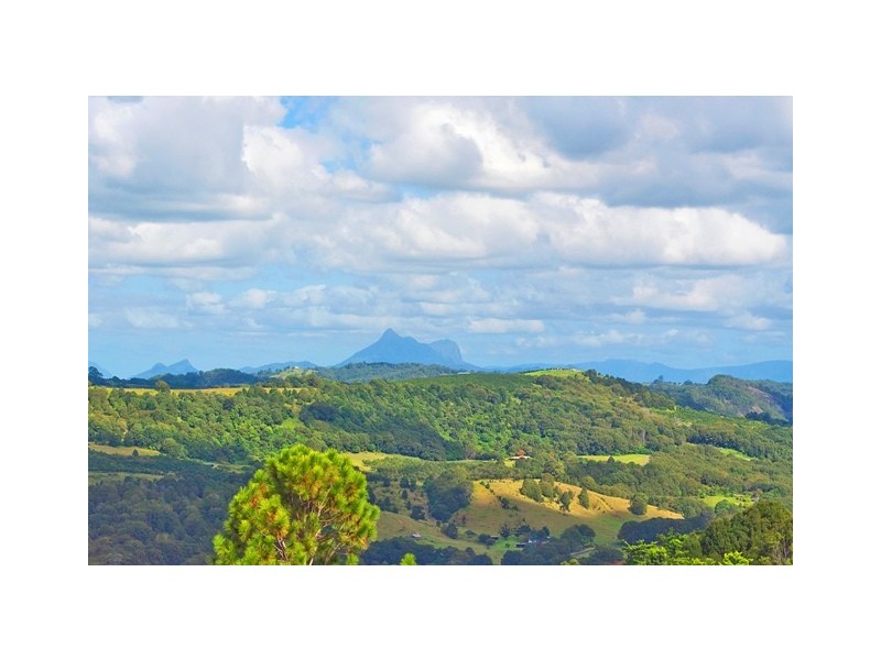 10 Snowgum Dr, Bilambil Heights NSW 2486