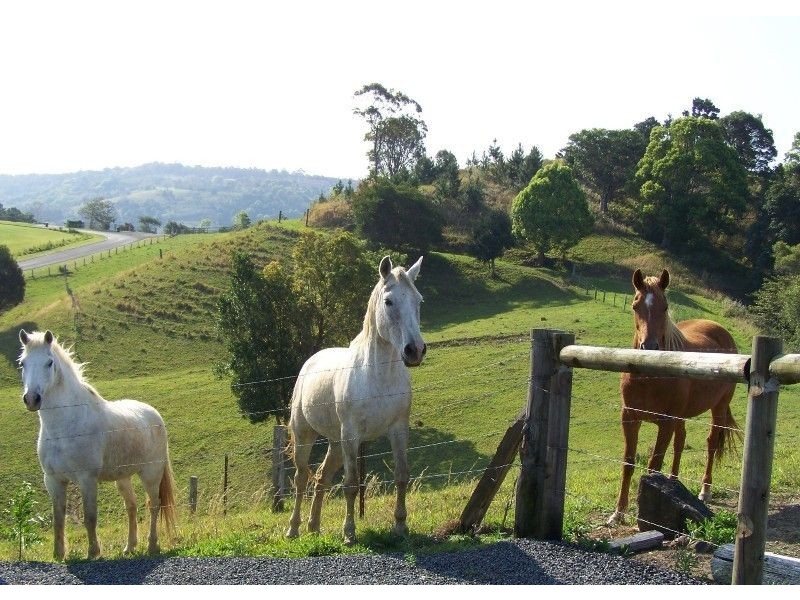 2 Crofters Way, Bilambil NSW 2486