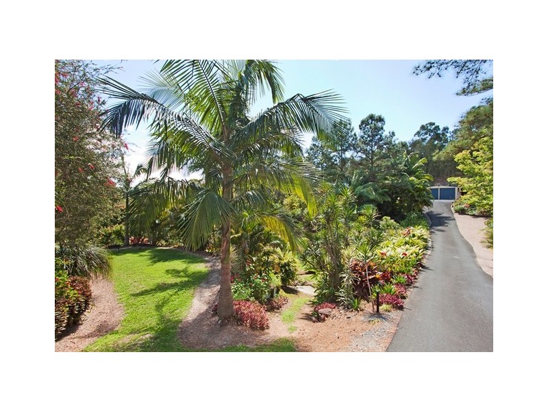 4 Wallowa Ct, Elanora QLD 4221