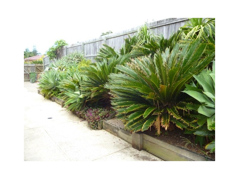 13 Silkwood Terrace, Tweed Heads West NSW 2485