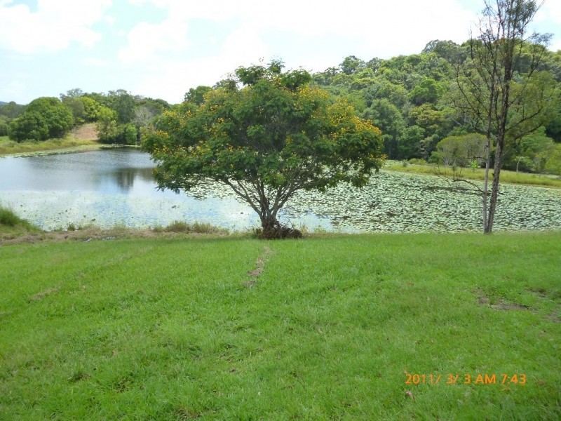 77 Cobaki Road., Cobaki NSW 2486