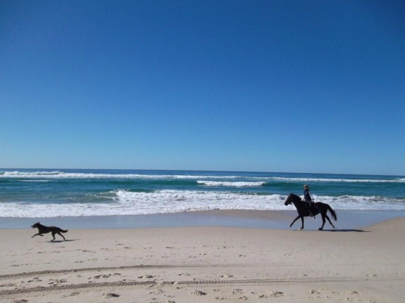 1 / 45 Kingscliff St, Kingscliff NSW 2487