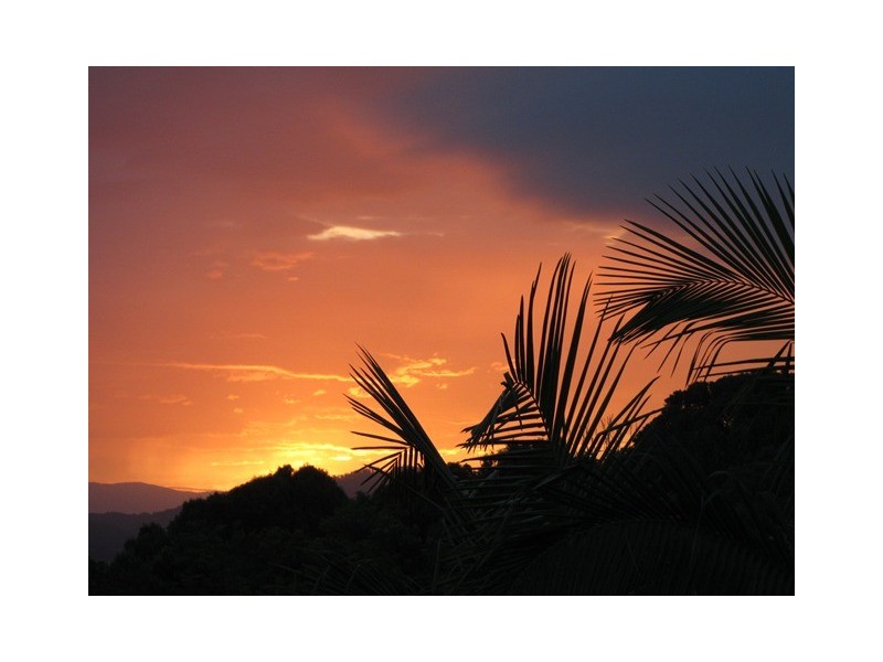 17a Fir St, Bilambil Heights NSW 2486