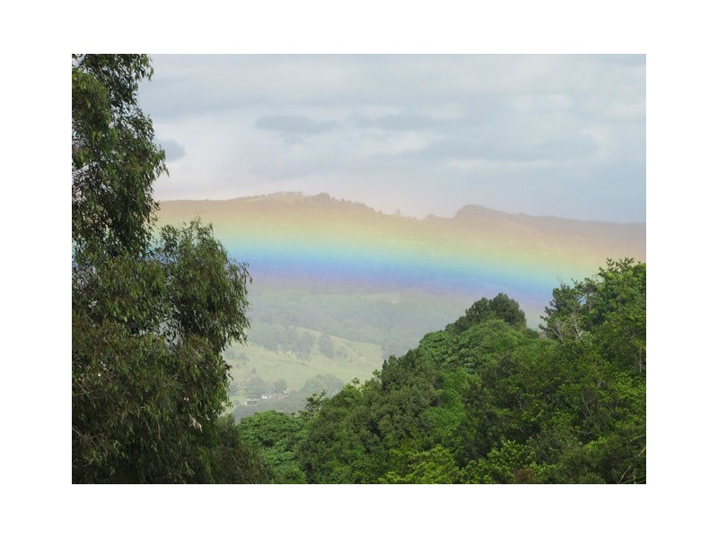 17a Fir St, Bilambil Heights NSW 2486