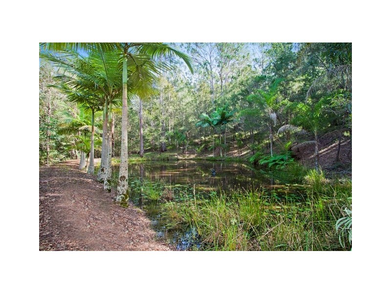 314 Trees Rd, Tallebudgera QLD 4228