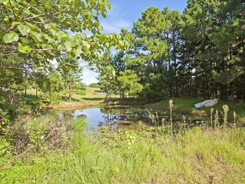 910 Clothiers Creek Rd, Clothiers Creek NSW 2484