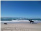 58 Sand St, Kingscliff NSW 2487