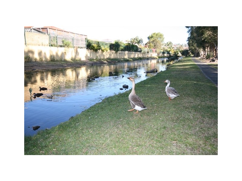 2 / 33 Foxhill Pl, Banora Point NSW 2486