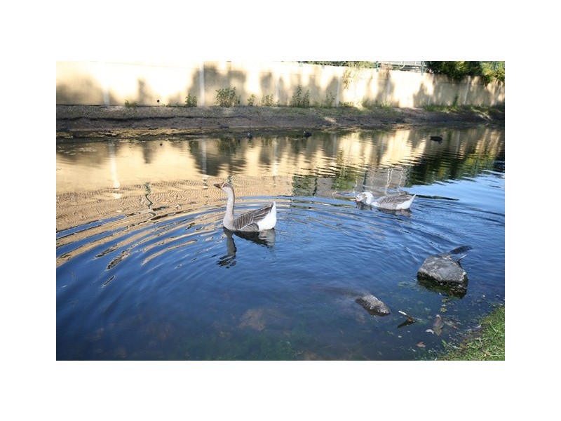 2 / 33 Foxhill Pl, Banora Point NSW 2486