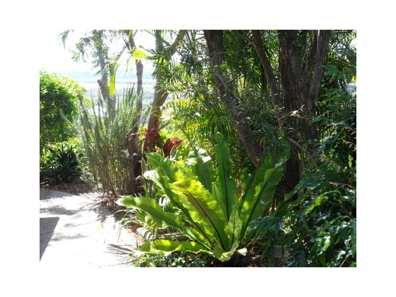 4 Lake Tahoe Dr, Bilambil Heights NSW 2486