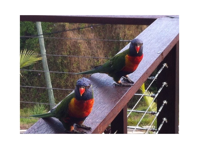 48 Broadwater Esp, Bilambil Heights NSW 2486