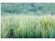 Lot 306 Silkpod Ave “Riva Vue”, Murwillumbah NSW 2484