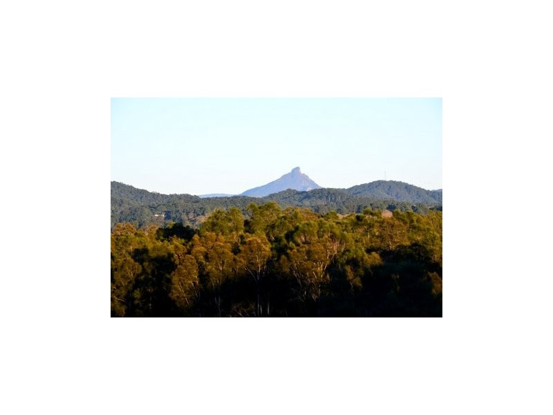 18 Euodia Ave, Pottsville NSW 2489