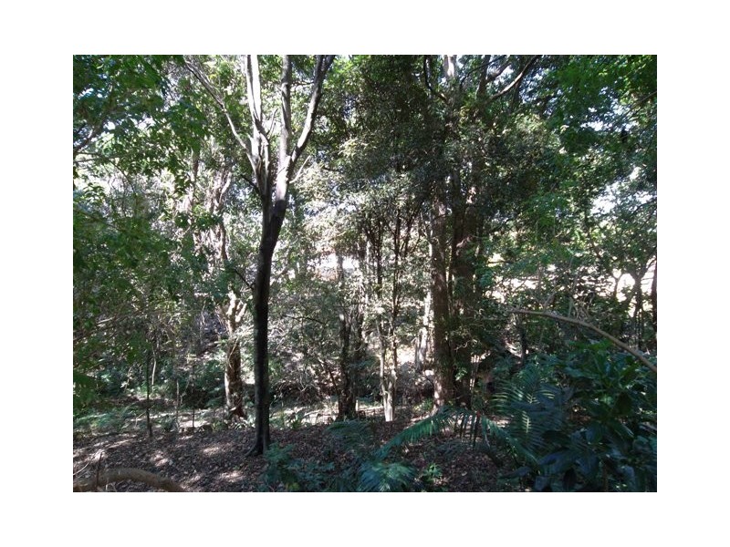 39 Glen Ayr Drive, Banora Point NSW 2486