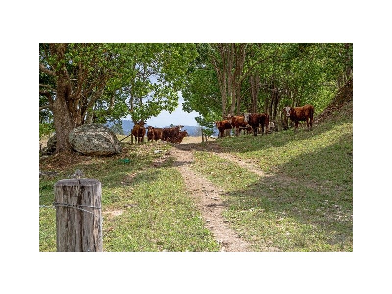 166 Duranbah Road, Duranbah NSW 2487