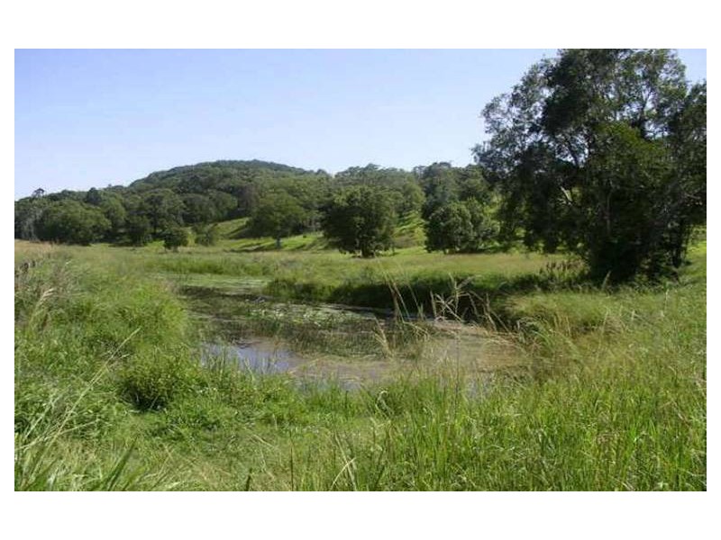 166 Duranbah Road, Duranbah NSW 2487