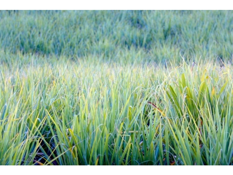 71 Newcastle Drive, Pottsville NSW 2489