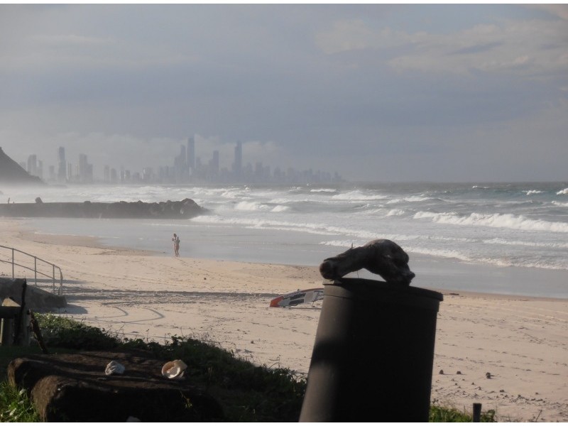 103 Jefferson Lane, Palm Beach QLD 4221