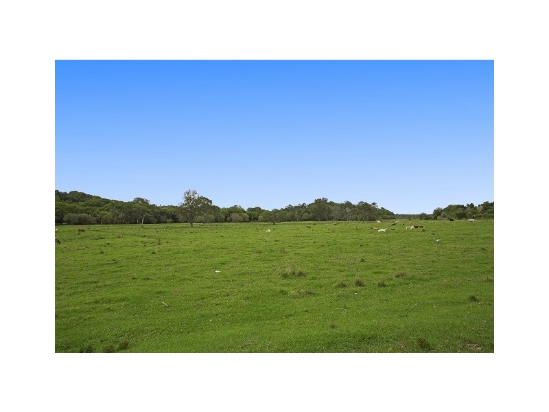 28 Ribbonwood Place, Terranora NSW 2486