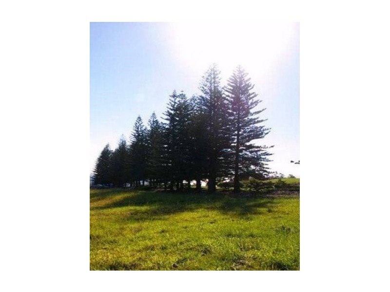 8 Nassau Ave, Terranora NSW 2486