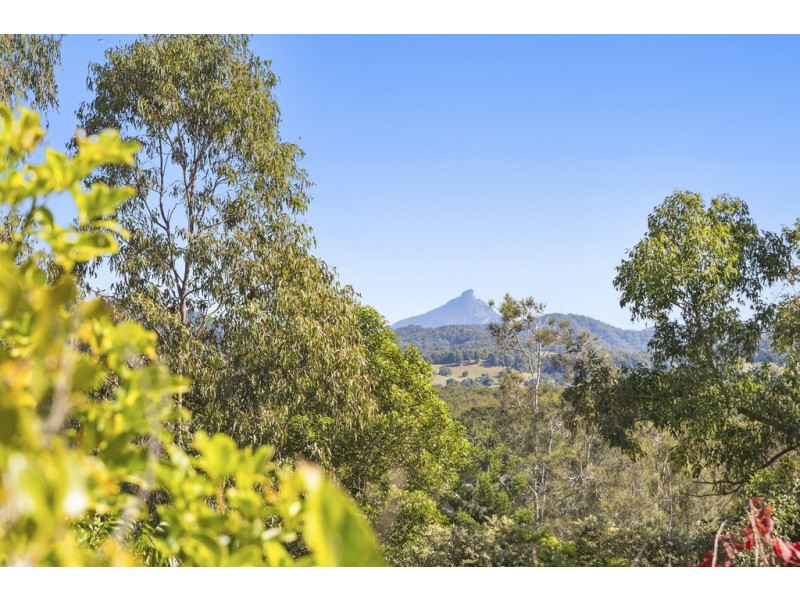 4 Bottlebrush Drive, Pottsville NSW 2489