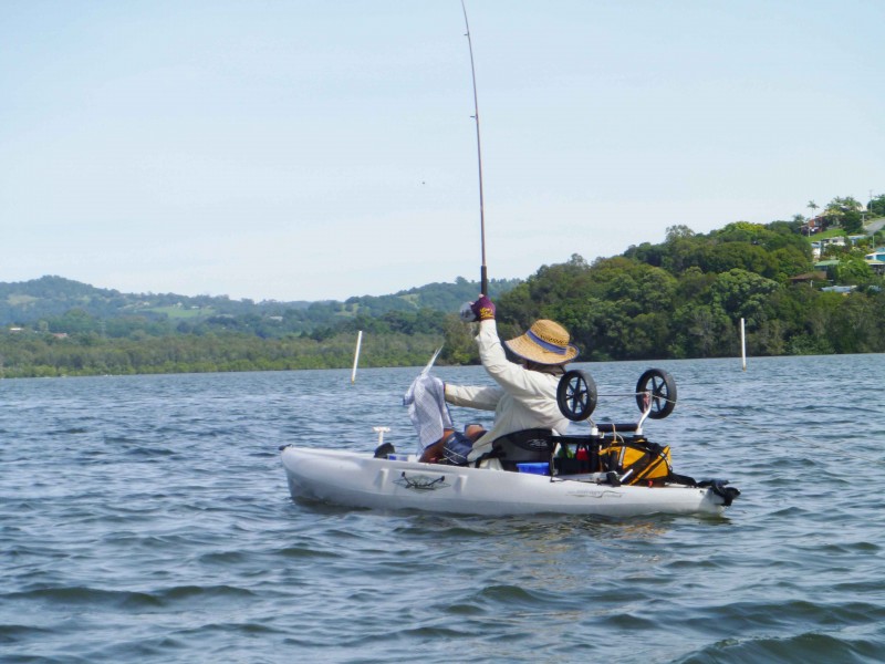 2 / 113 Sunset Boulevard, Tweed Heads West NSW 2485