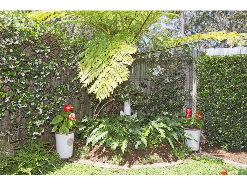239 / 2 Falcon Way, Tweed Heads South NSW 2486