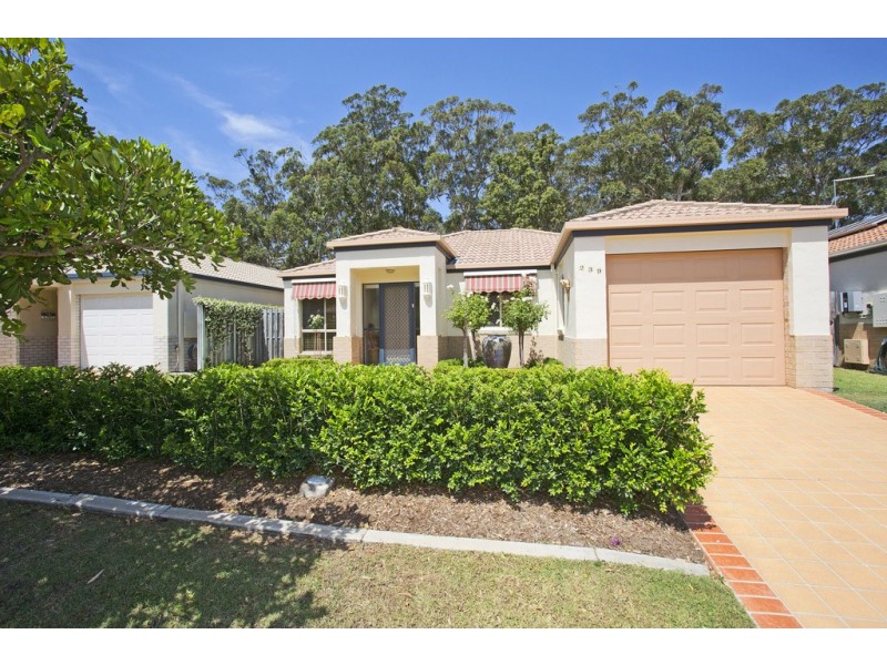 239 / 2 Falcon Way, Tweed Heads South NSW 2486