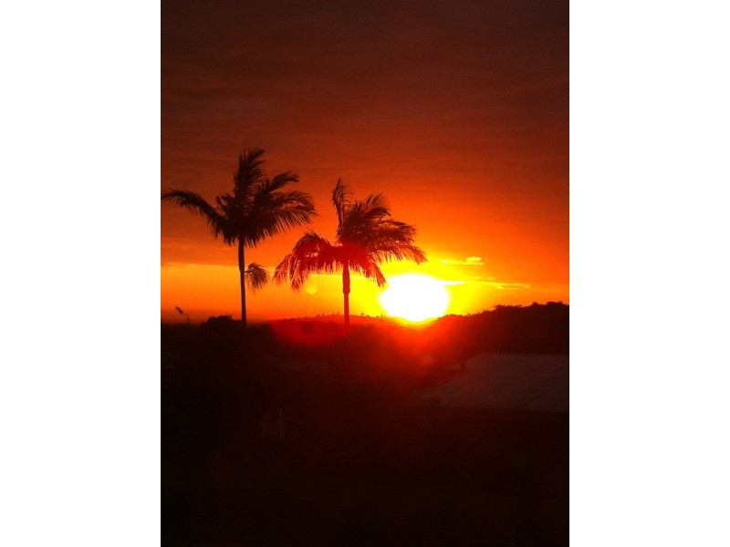 3 / 6 Cupania Court, Tweed Heads West NSW 2485