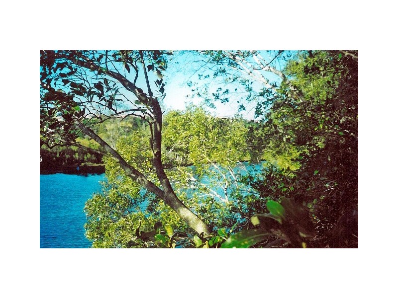 239 Beltana Drive, Bilambil NSW 2486