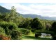 361 South Pumpenbil Road, Tyalgum NSW 2484