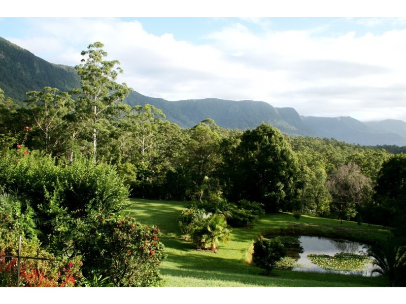 361 South Pumpenbil Road, Tyalgum NSW 2484