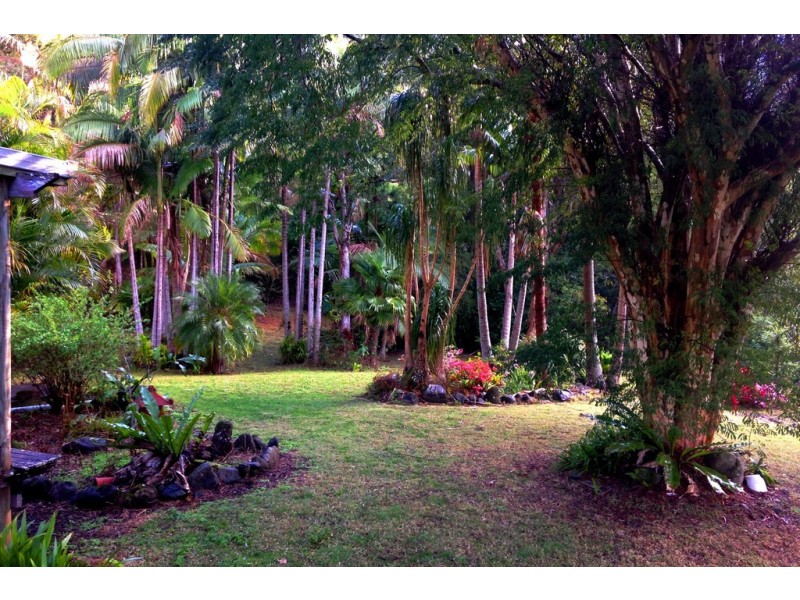 361 South Pumpenbil Road, Tyalgum NSW 2484