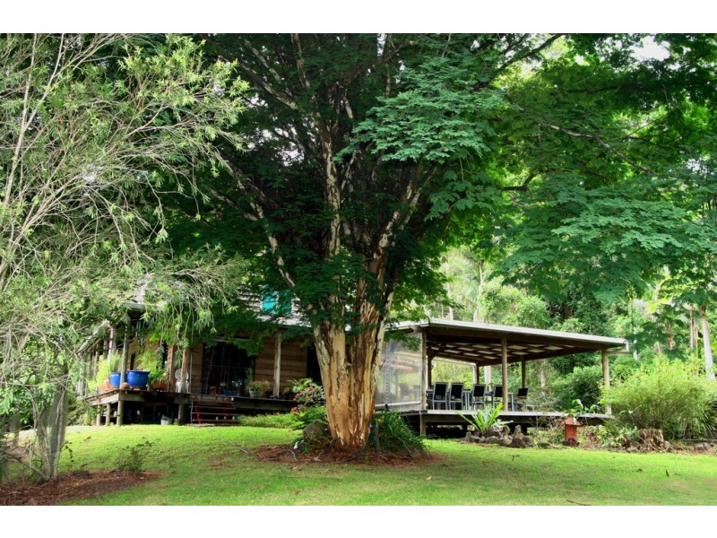 361 South Pumpenbil Road, Tyalgum NSW 2484