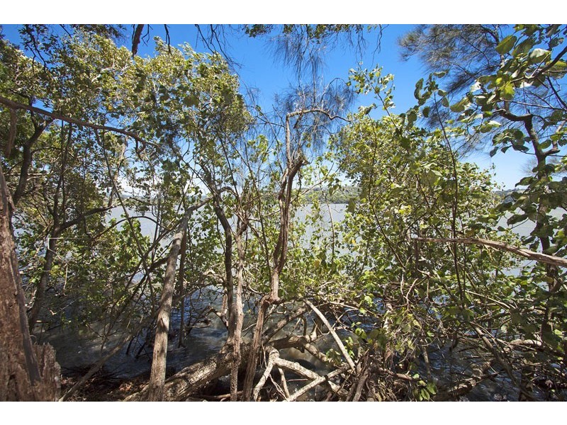 33 Daintree Close, Banora Point NSW 2486