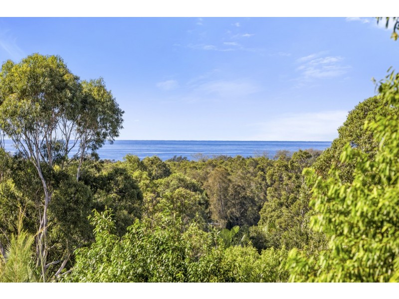 36 Sassafras Street, Pottsville NSW 2489