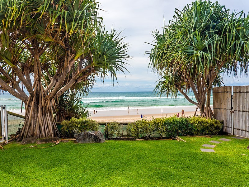 79 Jefferson Lane, Palm Beach QLD 4221