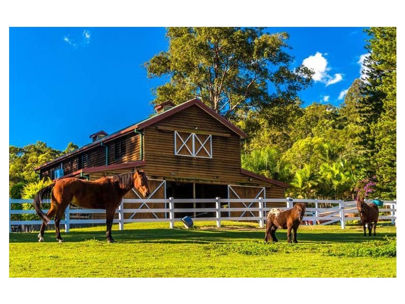 571 Gold Coast-Springbrook Road, Mudgeeraba QLD 4213