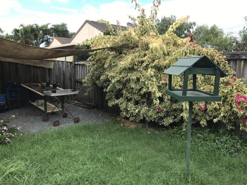 12 Cutter Court, Helensvale QLD 4212