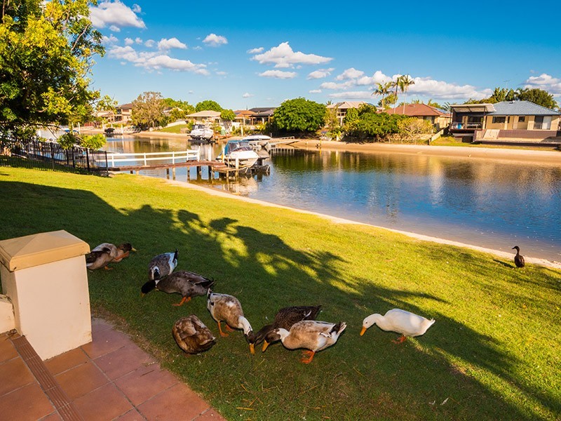 11 Gretel Drive, Mermaid Waters QLD 4218