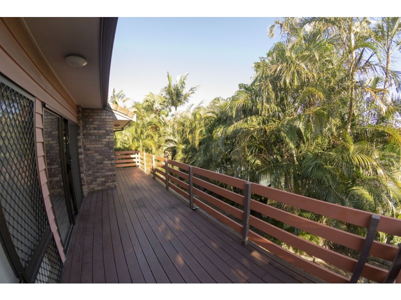 8 Wistaria Ave, Southport QLD 4215