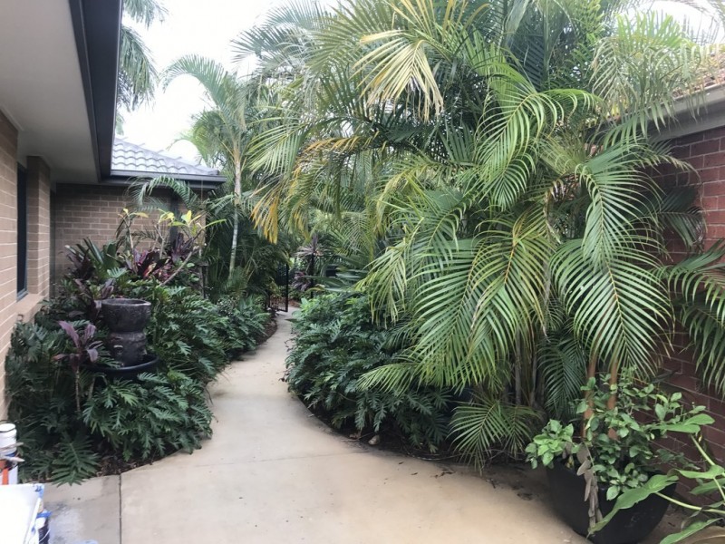 20 Con Brio Blvd, Upper Coomera QLD 4209
