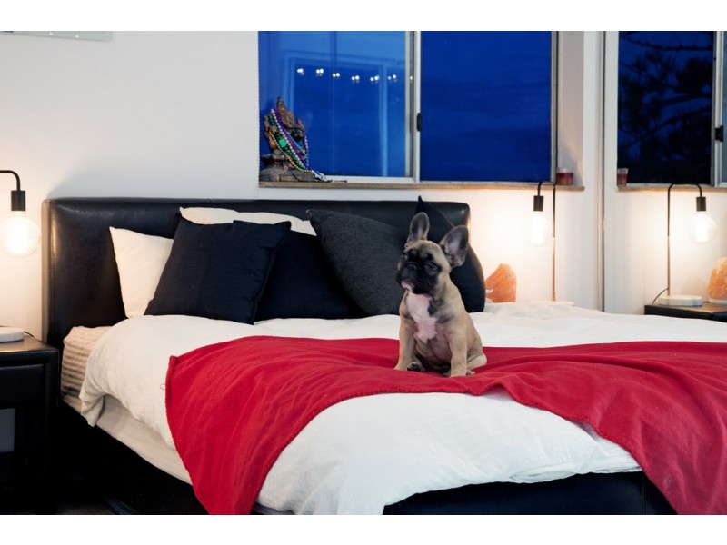 10/42 Britannia Avenue, Broadbeach QLD 4218